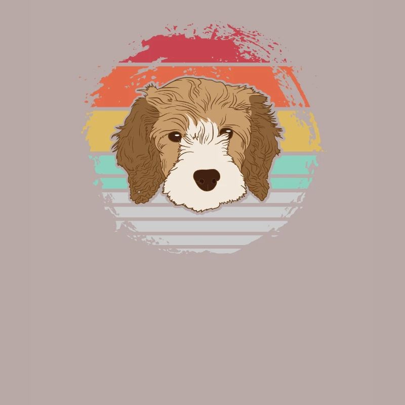 Cavapoo dog