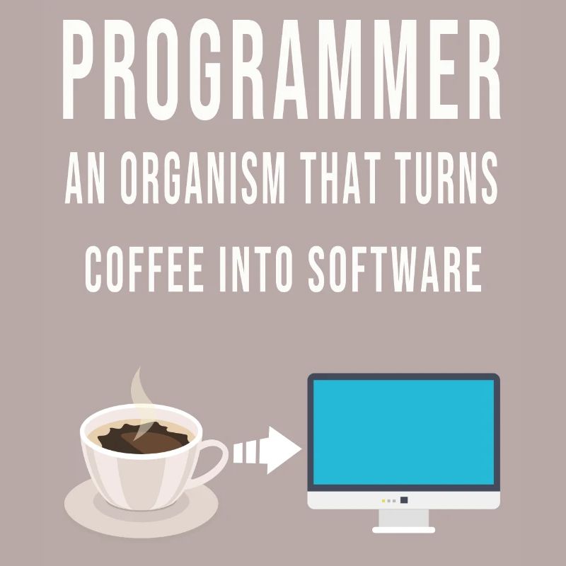 Programmer Code Computer Software Developer