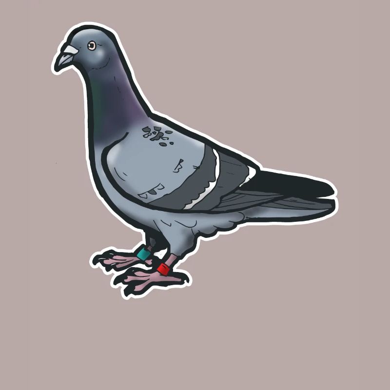 Comic Lustige Taube Vogel Geschenkidee Brieftaube