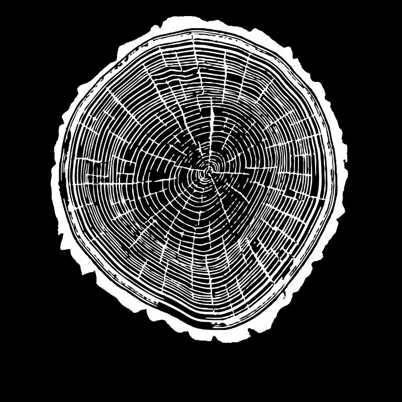 Holzscheibe mit Rinde