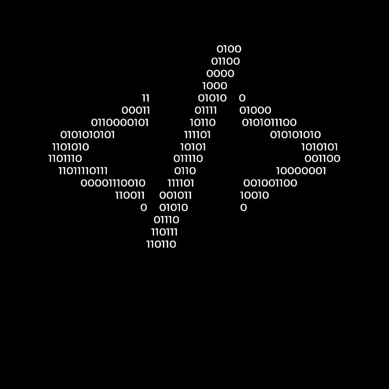 Hacker Hacking Code Computer Java Spruch Geschenk