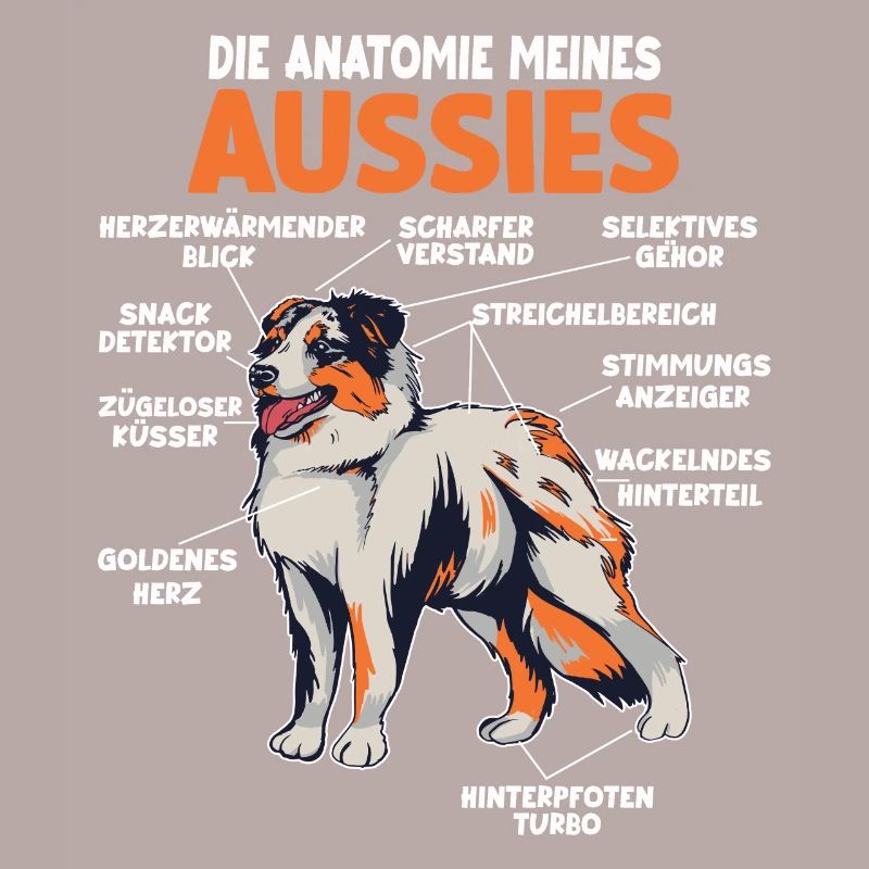 Australian Shepherd Aussie Anatomie Aussie
