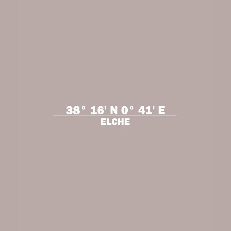 Elche coordinates