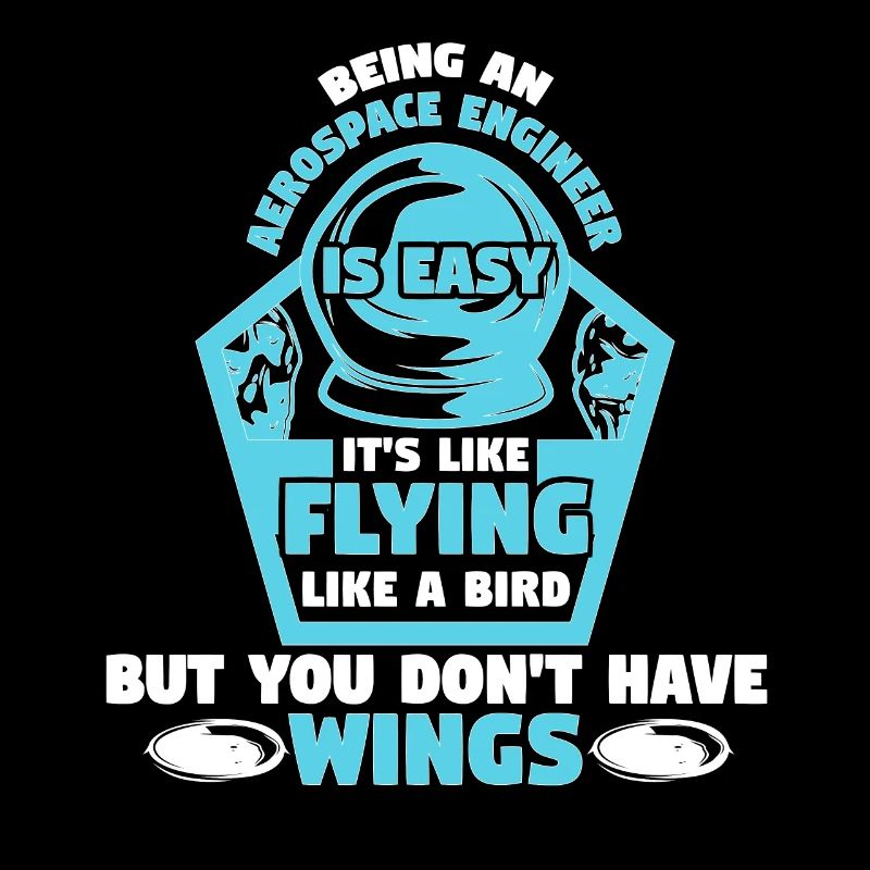 Aerospace Engineering Is Easy Bird Wings