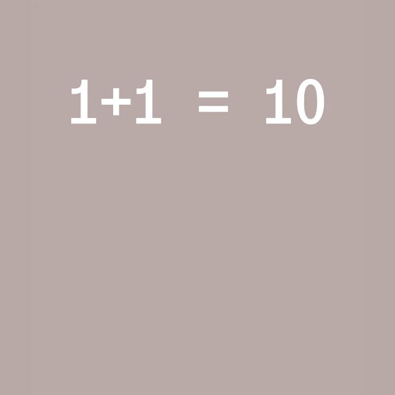 1 + 1 = 10 Funny Programmer Computer Science