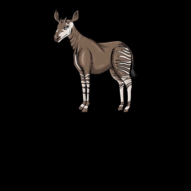 Okapi I forest giraffe from the rainforest for