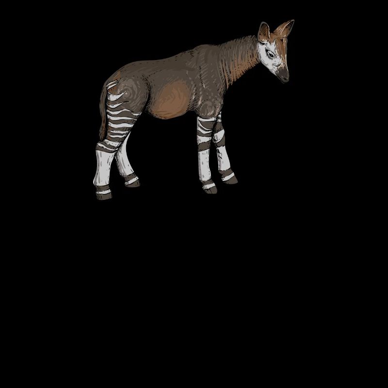 Okapi I girafe de la forêt tropicale pour