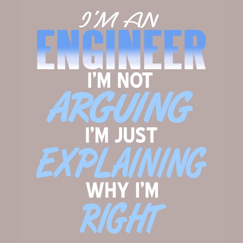 I'm An Engineer I'm Not Arguing Just Explaining