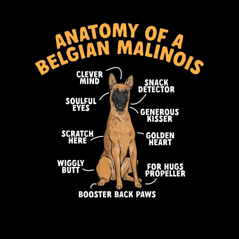 Malinois Belgian Shepherd Mechelaar Dog