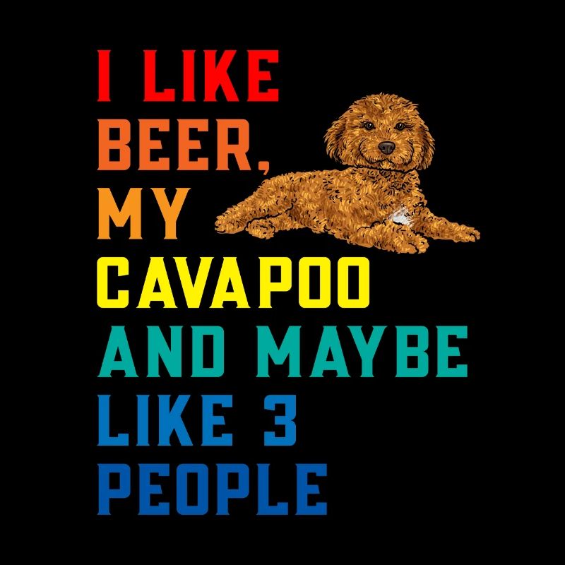 Cavapoo Cavoodle Capoodle Hund