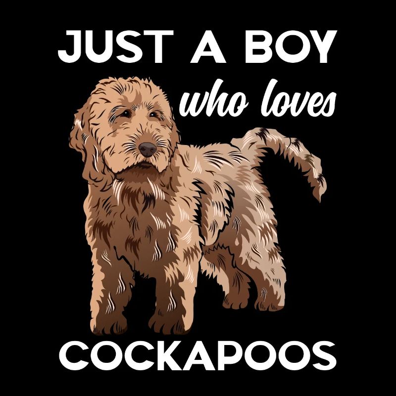 Cockapoo Chien