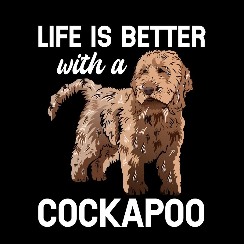 Cockapoo Chien