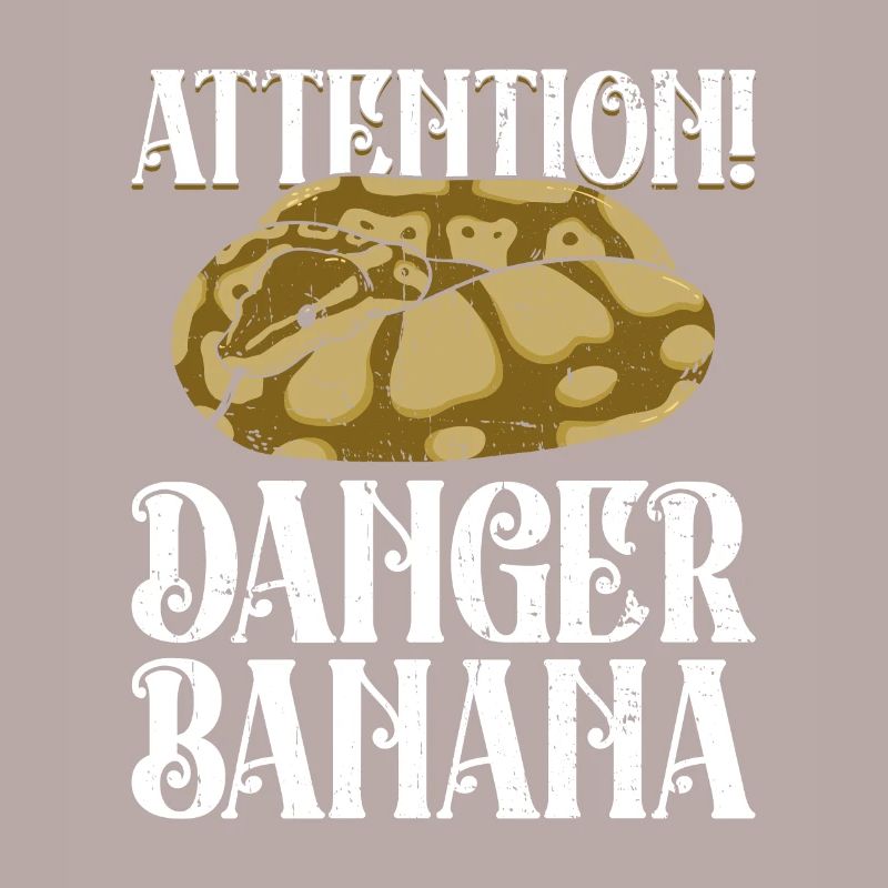 Königspython Banane Königspython Schlange