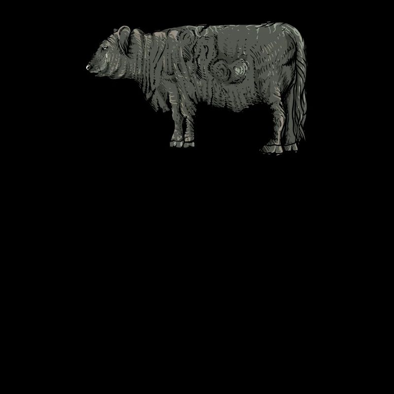 Galloway cattle I Scotland cattle breeding for