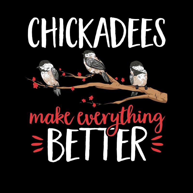 Bird Chickadee Bird Watching