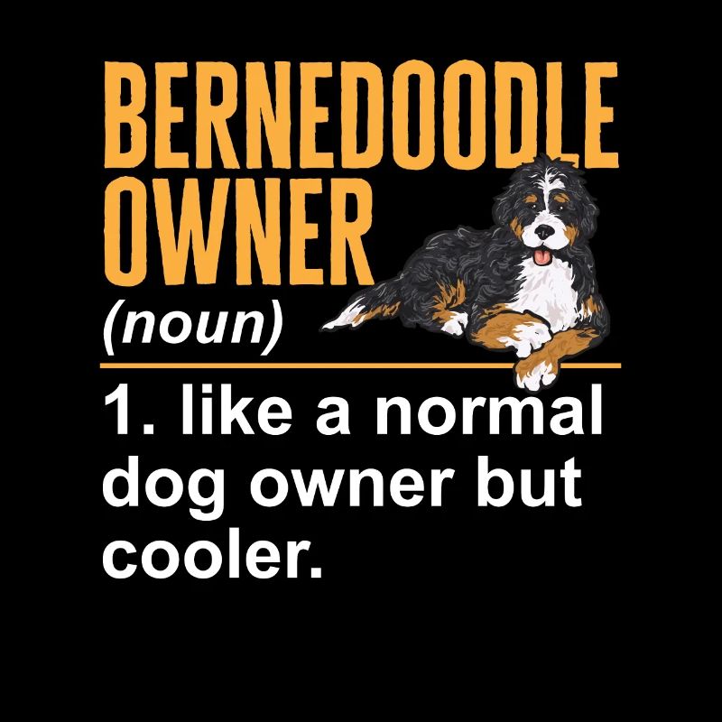 Bernedoodle Hund