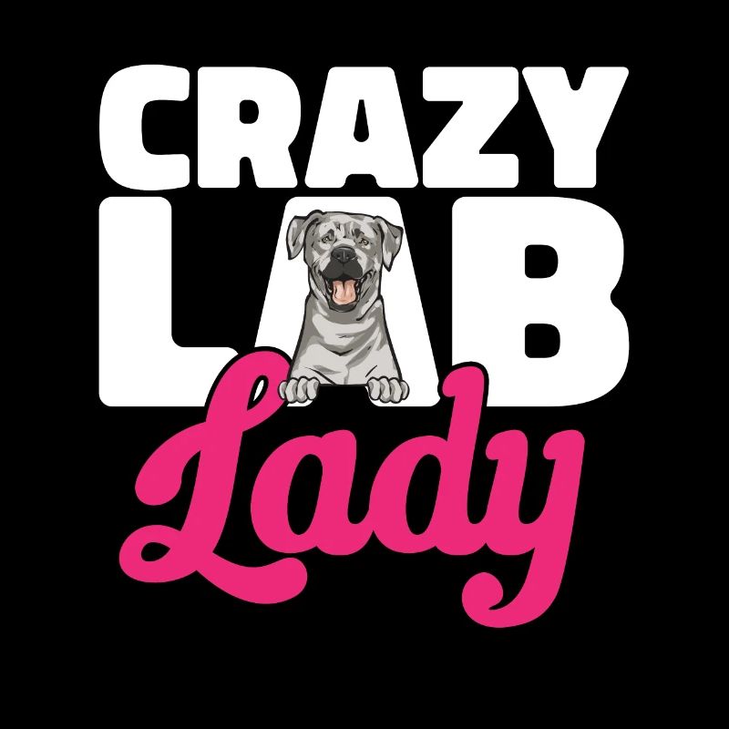 Silver Labrador Retriever Silver Lab