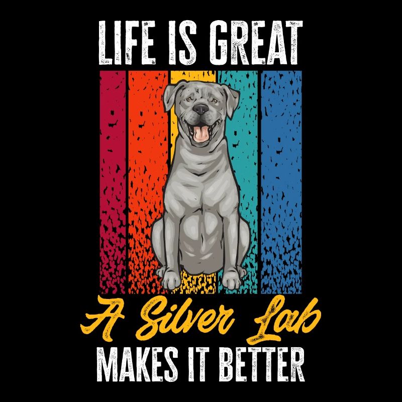 Silver Labrador Retriever Silver Lab