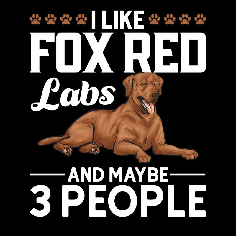 Fuchsroter Labrador Retriever Fox Labrador rouge