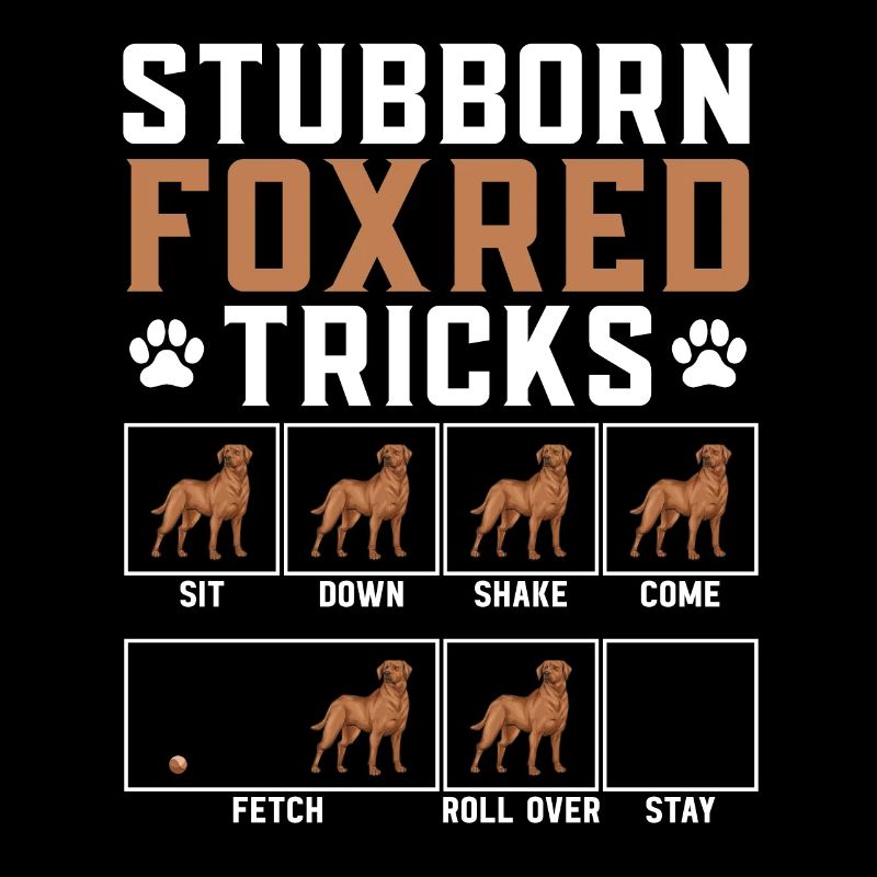 Fuchsroter Labrador Retriever Fox Labrador rouge