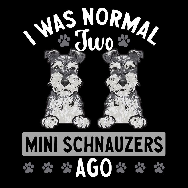 Zwergschnauzer Hund Schnauzer