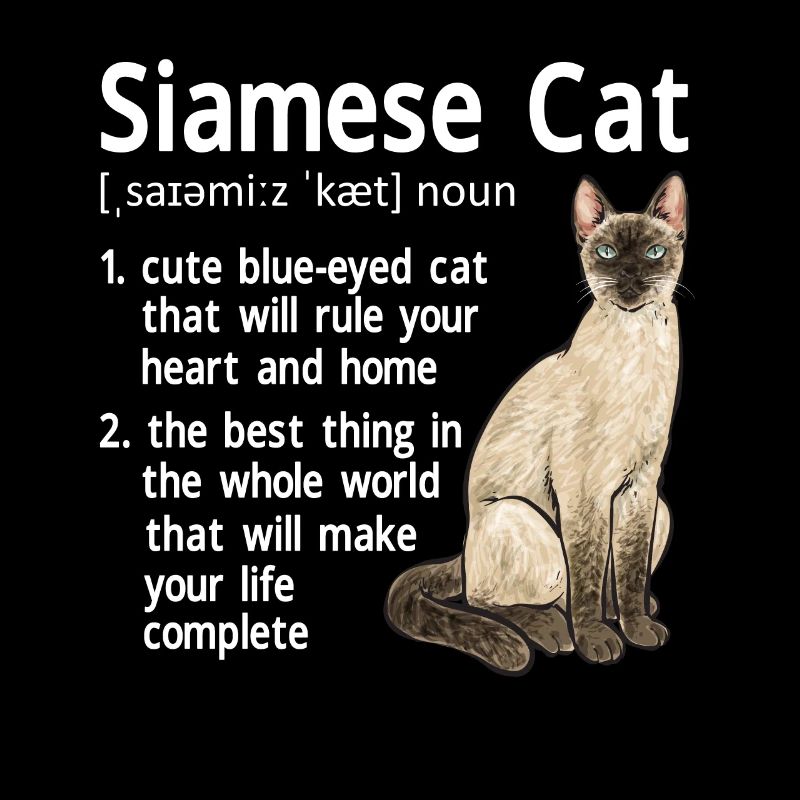 Siamese Cat Siamese Cat