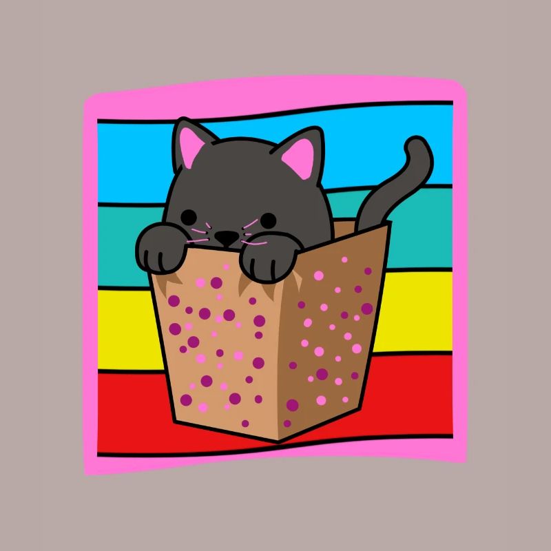 Chat dans une boîte