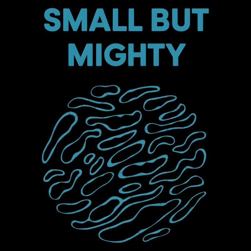 Small But Mighty Bold Design