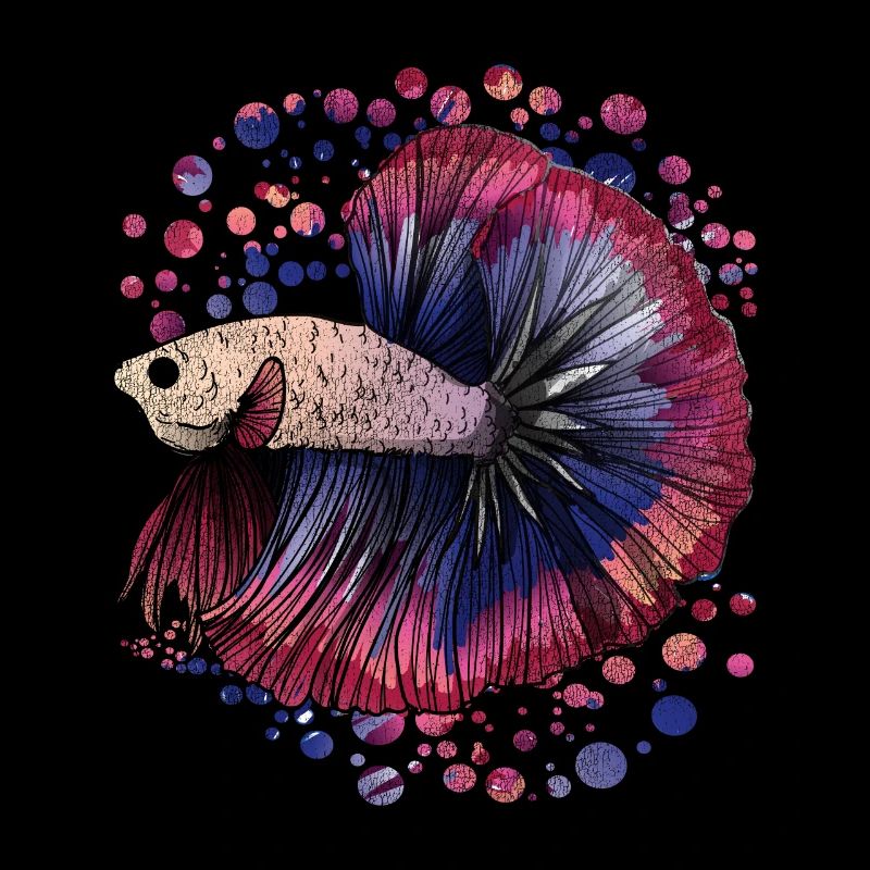 Fish Fish animals
