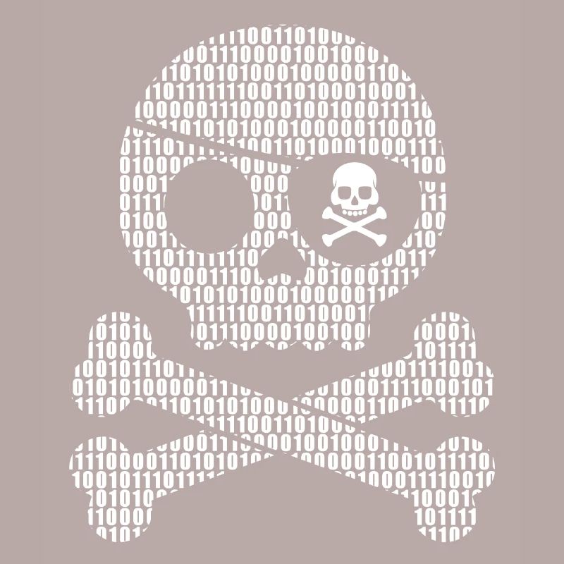 Digital Pirate Binary Code | Digital skull