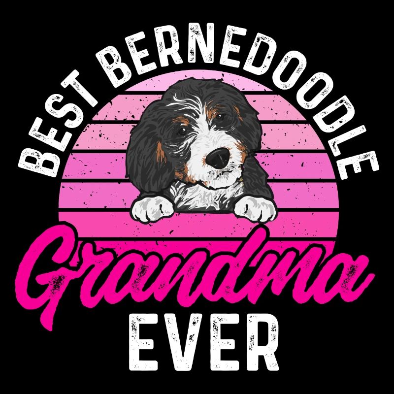 Bernedoodle Hund
