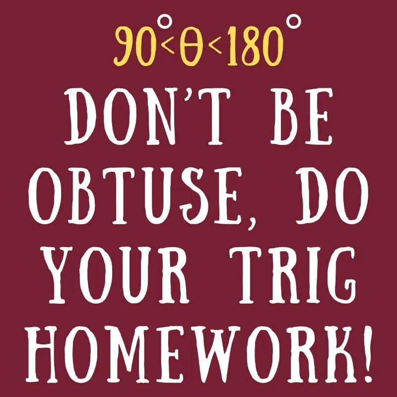 Funny Trigonometry Quote | Math Lovers Gifts