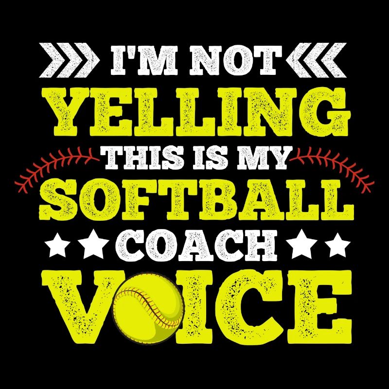 Softball training design for a softball