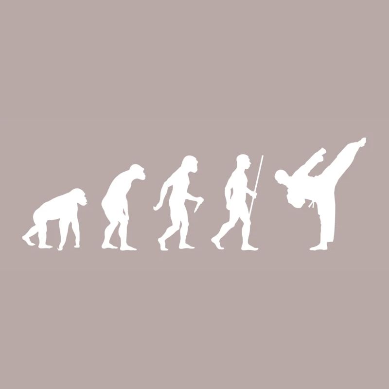 2563 Evolution Karate