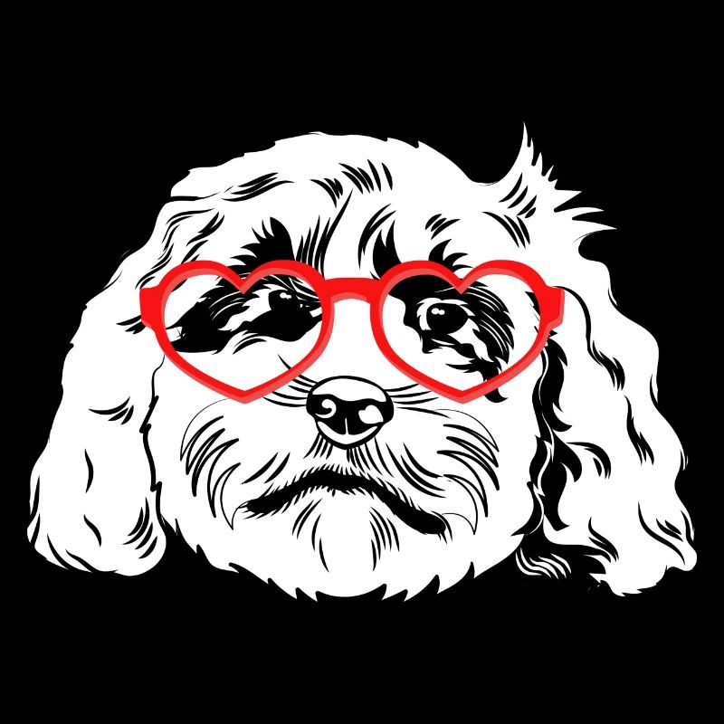 Cockapoo Chien
