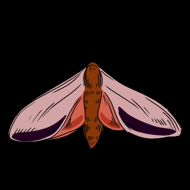 Papillon papillon papillon de nuit insecte papillon