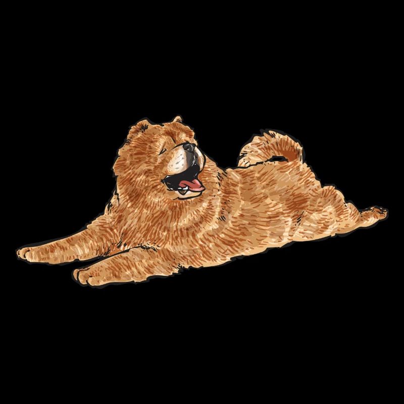 Chow Chow Hund