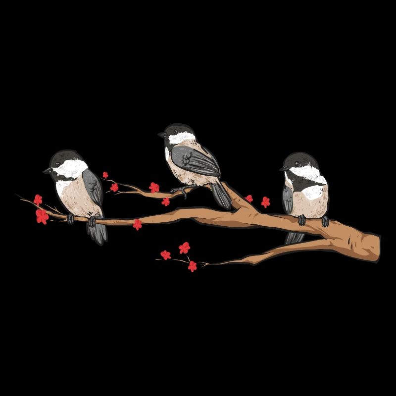 Observation des oiseaux mésanges
