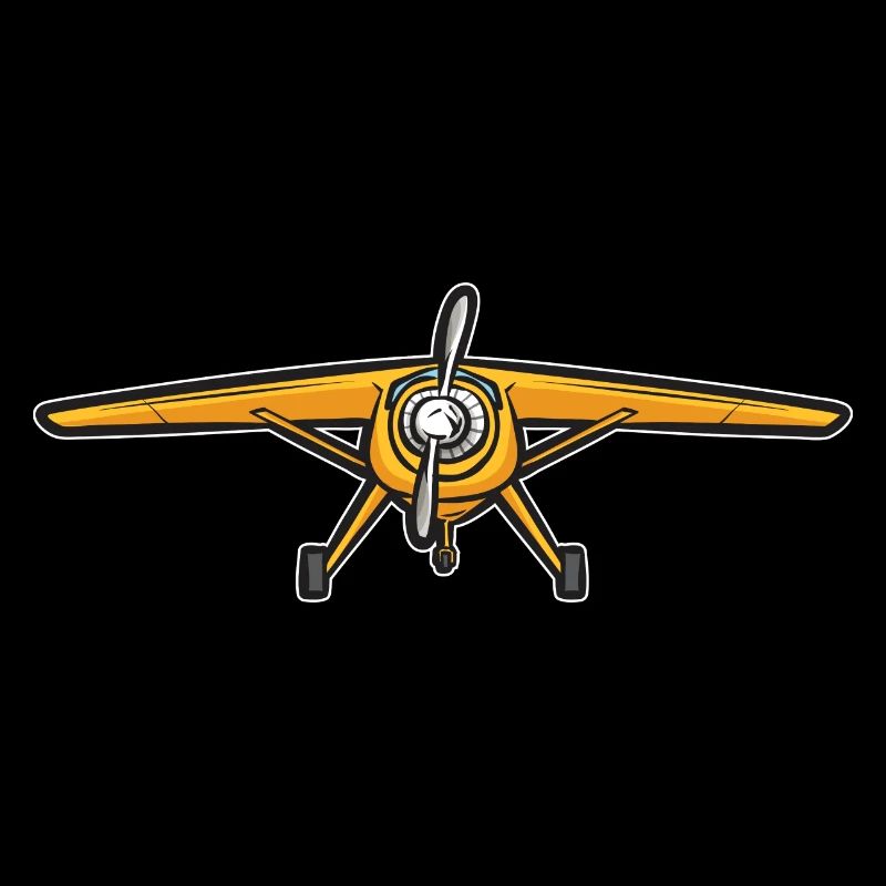 Modèle d’avion télécommandé