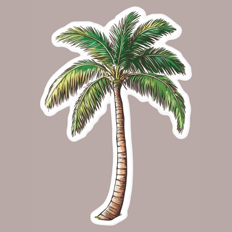 Palm tree