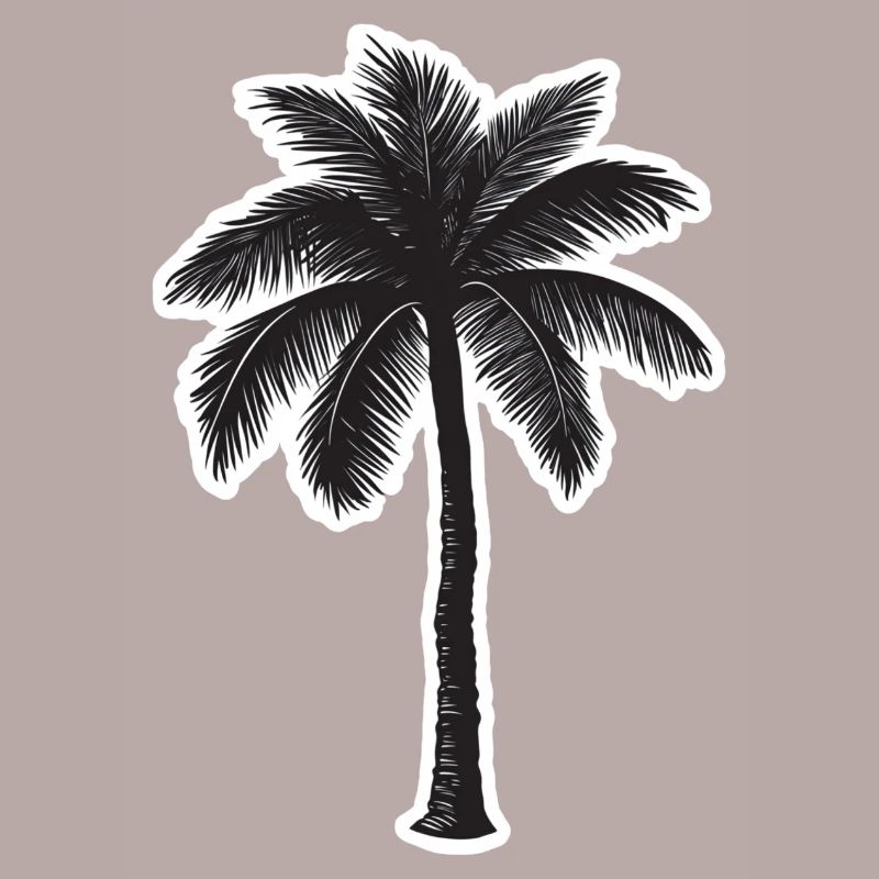 Palm tree
