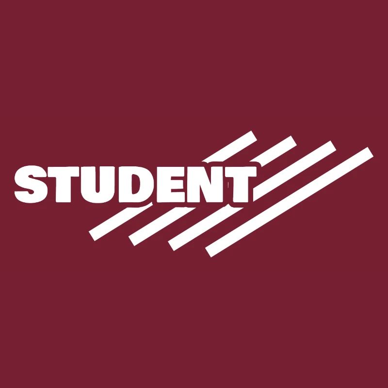 Student as a workplace