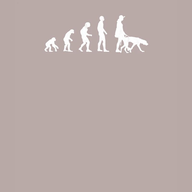 Vizsla Evolution