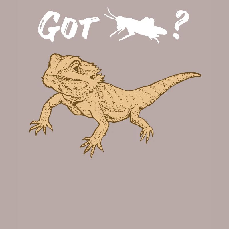 Bearded dragon asks for Locust Reptile Lizard