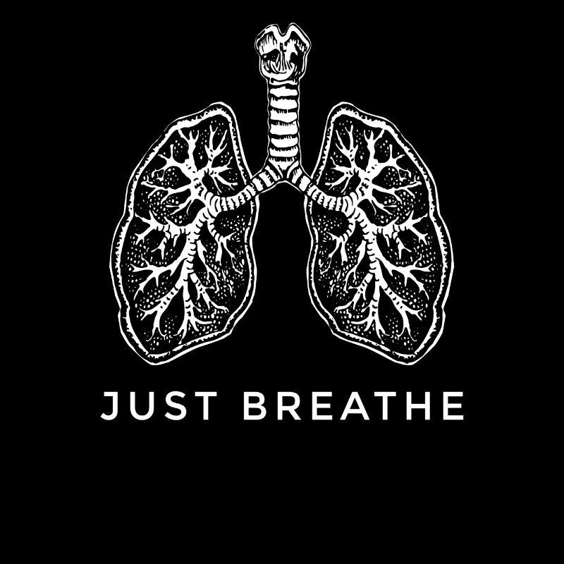 Lungs Lung Anatomy Breathing Respiration