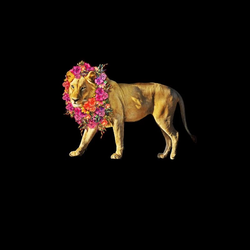 Lion fleur, lion, fleur, chat