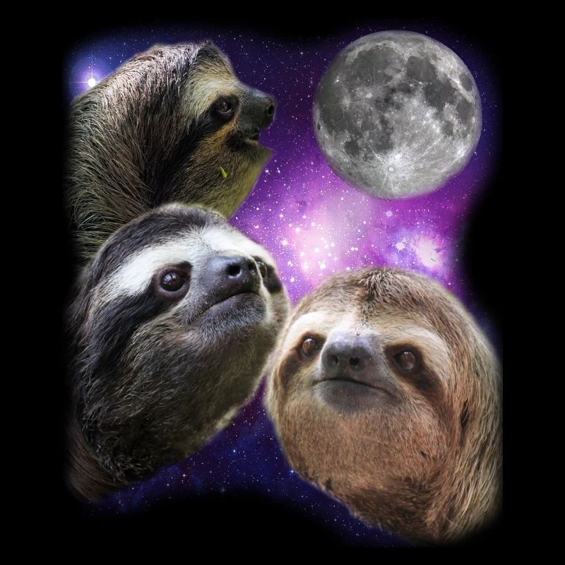 Three Sloths Howling At Moon Like Wolves