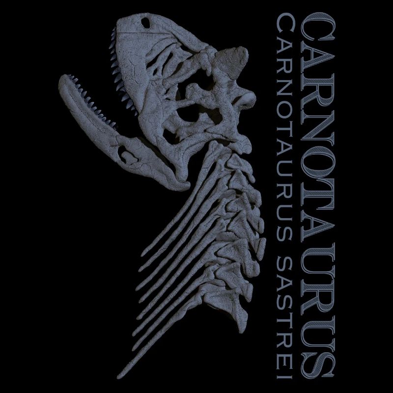 Crâne de Carnotaurus gris