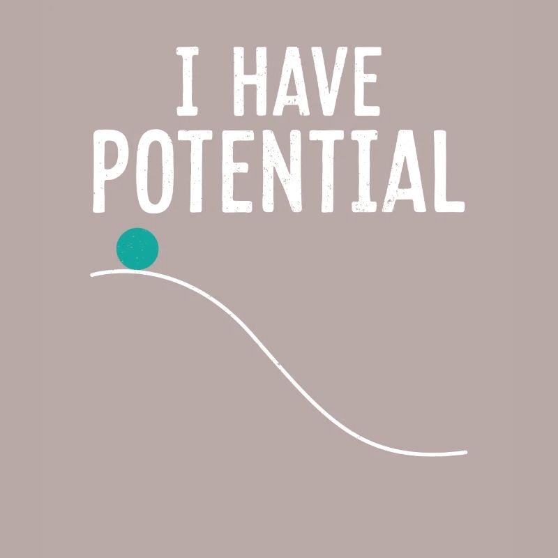 Physics Physicist Potential Teacher Funny Gift
