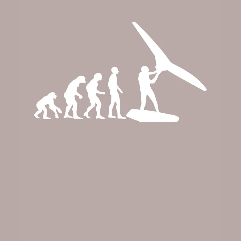 Wing Surf Evolution Wing Foil Geschenk Wingfoiler